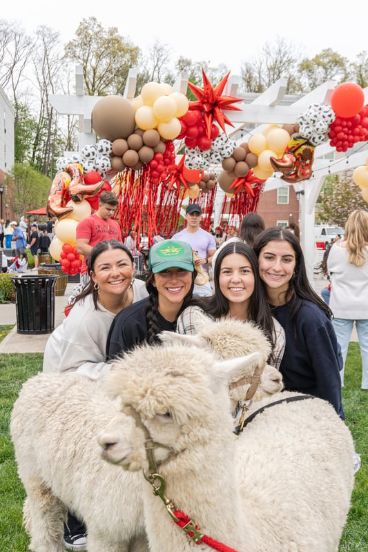 Fox Fest 2023 - A Rodeo of Fun!