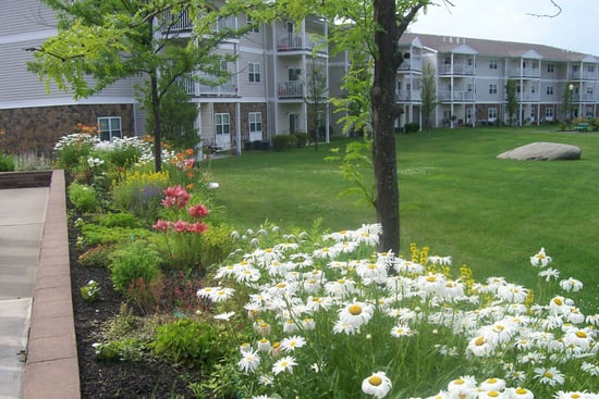 exterior_flowers